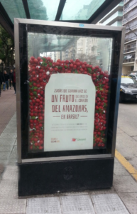 imagen-5